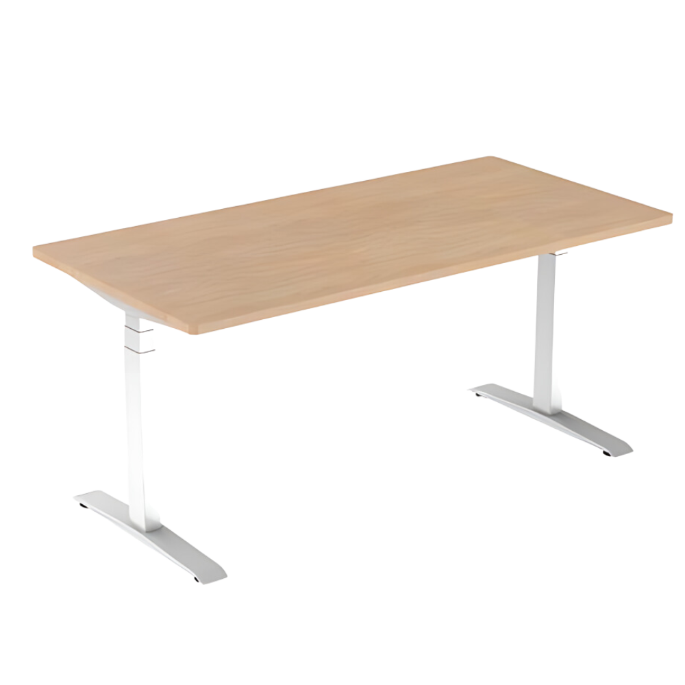 AG Electrical Height Adjustable Desk includes top