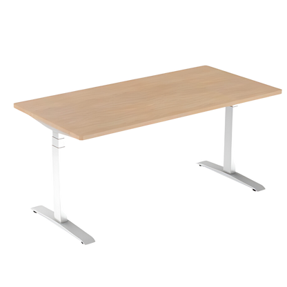 AG Electrical Height Adjustable Desk