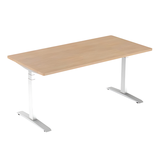 AG Electrical Height Adjustable Desk includes top