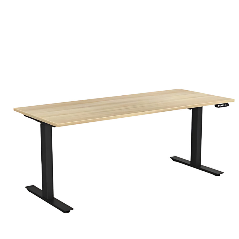 Agile Electric height Adjustable Desk