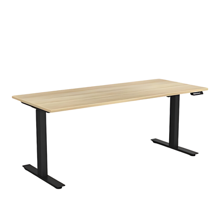 Agile Electric height Adjustable Desk