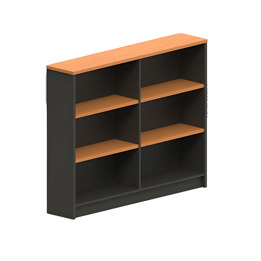 Excel Bookcase